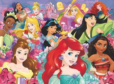 Disney Prinzessinnen - Träume können wahr werden