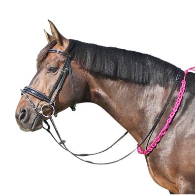 EQuest Beginner Balance Zügel, pink - 120 cm - hilft dem Pferd, das Gleichgewicht