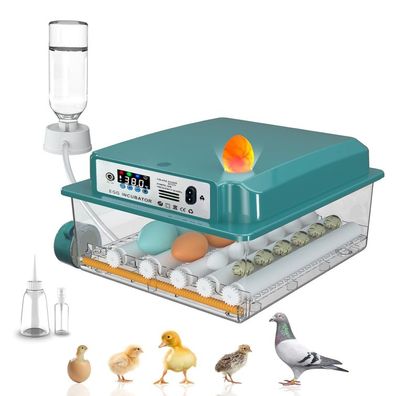 Hethya Eierbréter 12 bis 16 Eier mit automatischer Wendung und Schierlampe