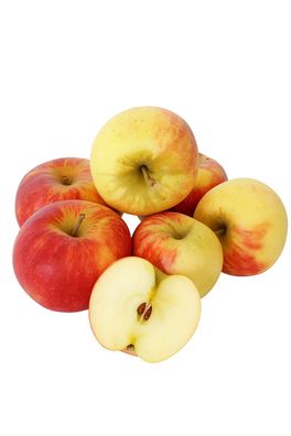 Äpfel Elstar vom Bodensee fein-säuerlicher Apfel 1-10 KG neue Ernte 2026