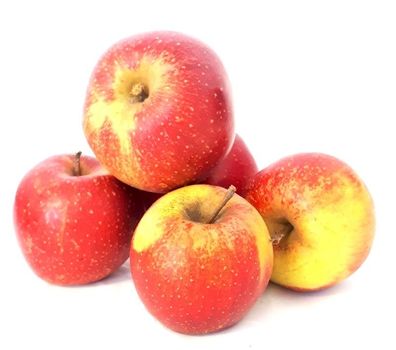 Äpfel Wellant allergikerfreundlich aus Deutschland/Bodensee süßer Apfel 1-10 KG