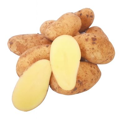 Deutsche frische Speisekartoffeln festkochend - Kartoffel Annabelle - Ernte 2025