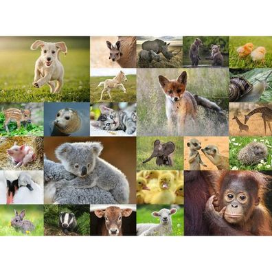 Ravensburger Puzzle Adorable Baby Animals, 200pcs. XXL