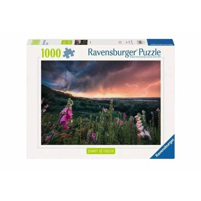Ravensburger Ravensburger 12000793 Puzzle Ein Sturm zieht auf 1000 Teile
