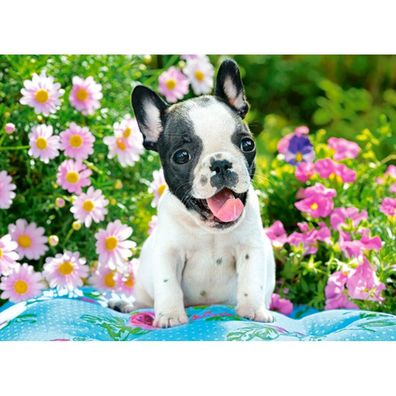 Castorland Französische Bulldogge Welpe Puzzle 70 Teile