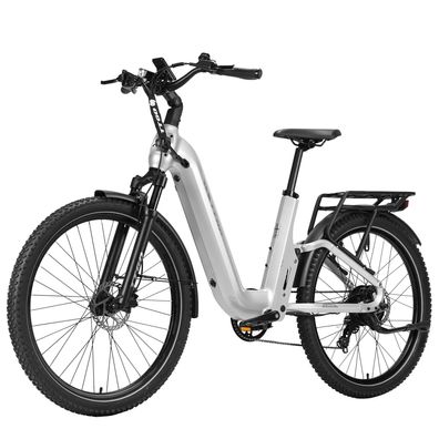 TTGO S6 28 Zoll E-Bike 250W 100km Reichweite Elektrofahrrad 48V720Wh ebike