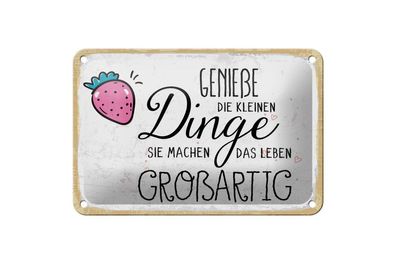 Blechschild Genieße die kleinen Dinge sie machen, 4 versch Größen, Spruch