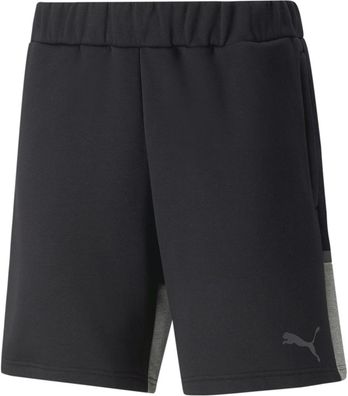 Puma Sport Shorts TeamCUP CasuaLongsleeve Shorts 657989