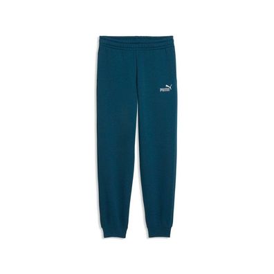 Puma Kinder Sporthose ESS 2 COLOR No.1 Logo Sweatpants FL B 685824