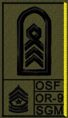 Bundeswehr Rangabzeichen, NATO Rang und Abkürzungen Stabs-, Oberstabsfeldwebel, Spieß