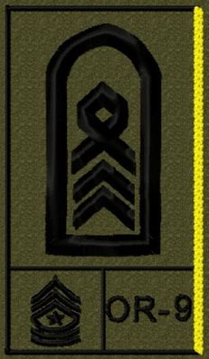 Bundeswehr Rangabzeichen mit NATO und US-Rang Stabs-, Oberstabsfeldwebel, Spieß
