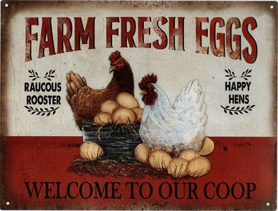 Moritz Blechschild Farm fresh Eggs Our Coop 25 x 33 cm Retro Vintage Wand