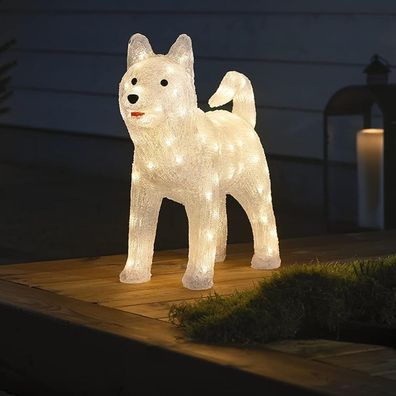 LED Acryl Husky 88er warmweiß 24V 54x43x17cm IP44 6244-103