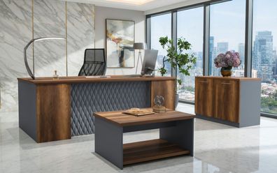 Stilvolles Büro Set Schreibtisch Sideboard Couchtisch Holz Grau
