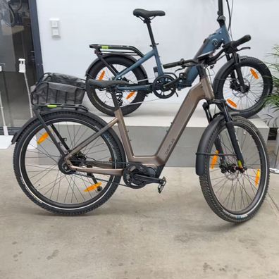 29" E-Bike Mica Pro Elektrofahrrad für Damen und Herren mit 250 W 110 Nm Mittelmotor