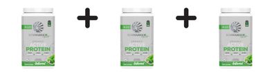 3 x Sunwarrior Active Protein Organic - (884g)