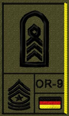 BW Rangabzeichen mit NATO-, US-Rang und Hoheitsabzeichen Stabs-, Oberstabsfeldwebel