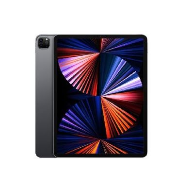Apple iPad Pro 12.9 (2021) 256GB WiFi Spacegrau 8 GB RAM 12 MP - Kaufen
