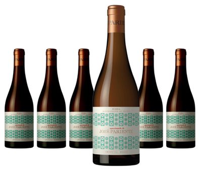 6 x José Pariente Apasionado Sauvignon Blanc – 2024
