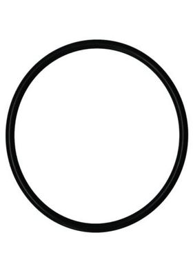 JUDO Ersatzteil O-Ring 95 mm x 5 mm 2530038