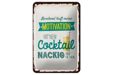 Blechschild meine Motivation mit Cocktail nackig über die Wiese, 4 versch Größen