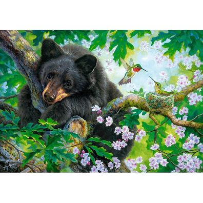 Castorland Puzzle Ich wünschte, ich könnte fliegen 500 Teile