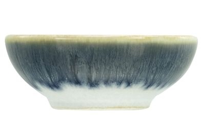 Creatable Soja Schale "Cascade" 900809