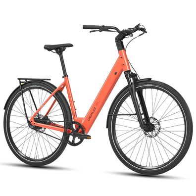 Deruiz E-Bike Citybike 36V 10Ah Akku mit Gates Carbon Belt Drive Elektrofahrrad