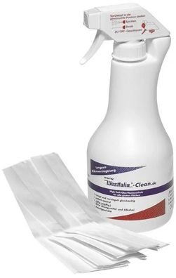 Fensterreiniger 550ml mit Vliestuch streifenfrei Glasreiniger