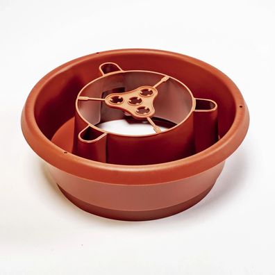 Bewässerungsringe 4er Set mit Schneckenschutz 1L pro Ring