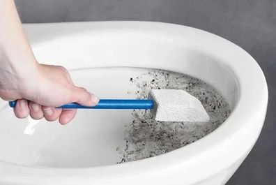 Bimsstein Holzstiel Toilette Reiniger