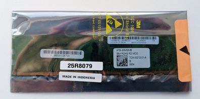 NEU: 32MB IBM Cache Memory RAID Modul ATB-205/32MB PC 1 GB TCA-00212-01-A ServeRAID