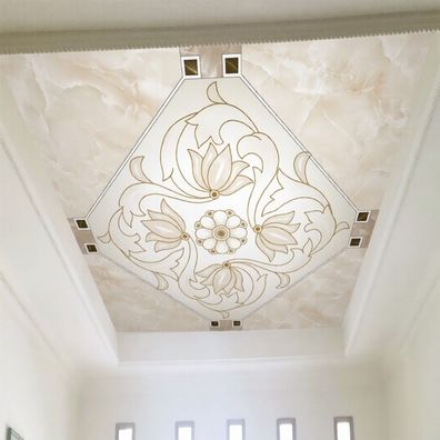 Vlies Fototapete XXL Modernes Decken Design 3D Wandtapete Elegante 8759