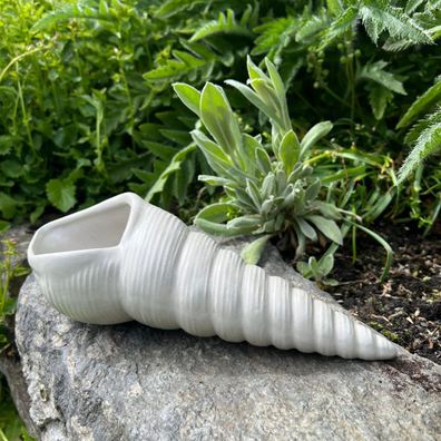 Betonfigur Muschel - längliche Muschelfigur mit viel Charme und Charakter