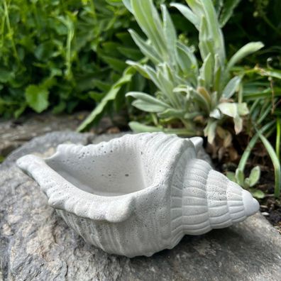 Betonfigur Muschel - naturgetreues, maritimes Dekoobjekt