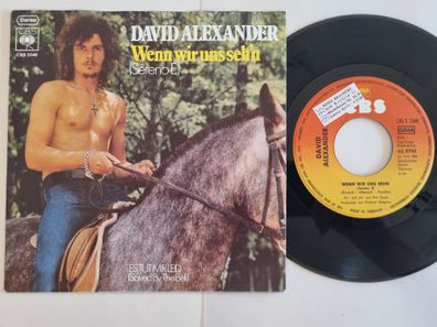 David Alexander = Hans Van Hemert - Wenn Wir Uns Sehn 7''/ CV Robin Gibb/ Drupi