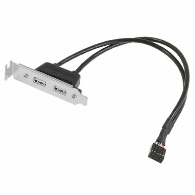 I00 USB 2.0 Slotblech 8cm mit 2x USB 2.0 Buchse auf 9pin Pfostenbuchse Mainboard