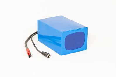 Lithium-Ionen Akku 24V 10Ah 240Wh Akkupack incl. 20A BMS & Ladegerät für Scooter