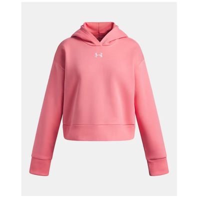 Under Armour Kinder Ua Rival Fleece Crop Hoodie
