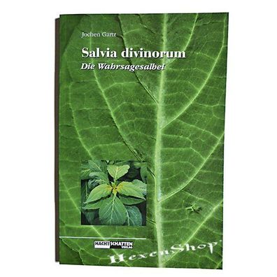 Salvia Divinorum - Der Wahrsagesalbei