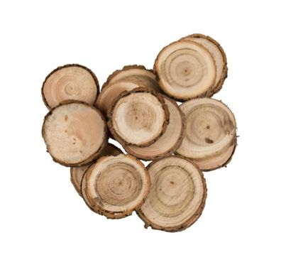 Bastelzubehör Pinienscheiben rund 100g Beutel Durchmesser 3-5cm Pinienplättchen