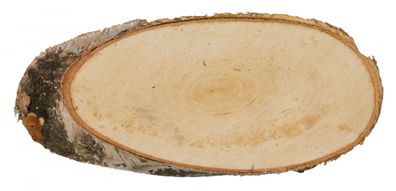 Bastelzubehör Birkenscheibe oval natur Durchmesser ca. 21-23cm Höhe 2cm NEU Holz