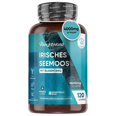 WeightWorld Irisches Sea Moss 4000 mg - 120 Kapseln mit Blasentang - 4 Monate Vorrat