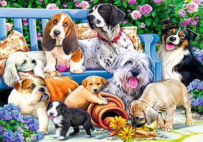 Hunde im Garten