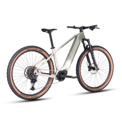 29 Zoll E-Bike Dolomit Damen Herren 48 V / 720 Wh Samsung-Akku 110 Nm Drehmoment