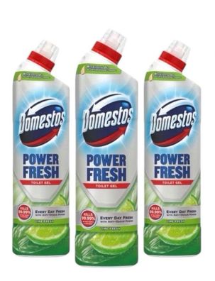Domestos Power Fresh - WC Reiniger 3x700ml (Varianten)
