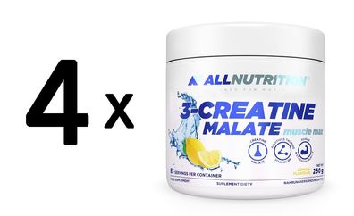 4 x Allnutrition 3-Creatine Malate, Lemon - 250g