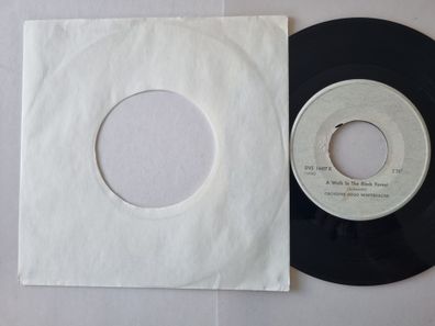 Orchester Hugo Winterhalter - A Walk in the Black Forest 7'' Vinyl Germany PROMO
