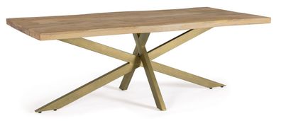 Esstisch Vedija aus Mangoholz, modern rechteckig, Natur, 220x100 cm, Spider-Gestell M