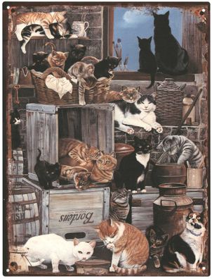 Deko Blechschild Katzen Kätzchen Kitten Kater 25x33 Vintage Design Metall Schild